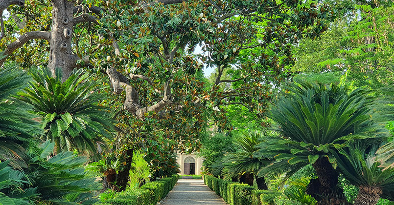 Grădina botanică din Pisa