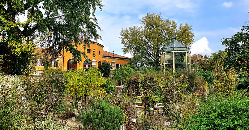 Grădina botanică din Padova